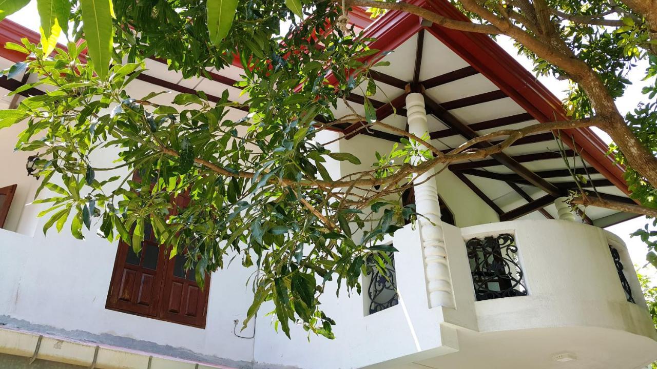 New Chili Lodge Mirissa Εξωτερικό φωτογραφία