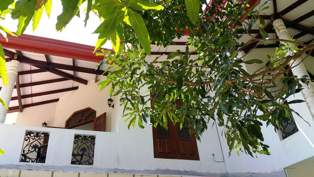 New Chili Lodge Mirissa Εξωτερικό φωτογραφία