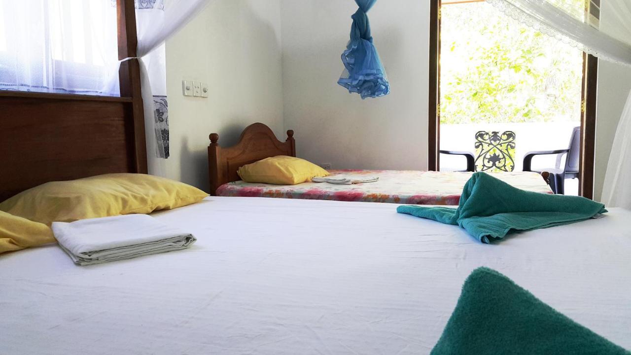 New Chili Lodge Mirissa Εξωτερικό φωτογραφία